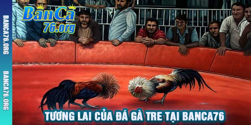 Tương Lai Của Đá Gà Tre Tại Banca76